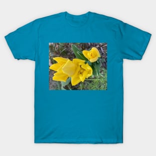 Yellow Tulips T-Shirt